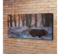 Tulup Dipinto Su Tela Pittura Su Un Muro 120x60cm - Cervo All'alba