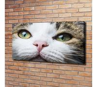 Tulup Dipinto Su Tela Pittura Su Un Muro 120x60cm - Occhi Di Gatto Verdi