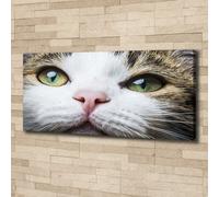 Tulup Dipinto Su Tela Pittura Su Un Muro 125x50cm - Occhi Di Gatto Verdi