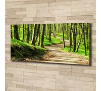 Tulup Dipinto Su Tela Pittura Su Un Muro 125x50cm - Sentiero Nel Bosco