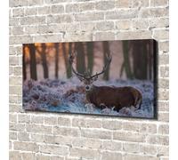 Tulup Dipinto Su Tela Pittura Su Un Muro 140x70cm - Cervo All'alba