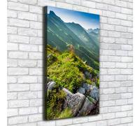 Tulup Dipinto Su Tela Pittura Su Un Muro 50x100cm - Estate In Montagna