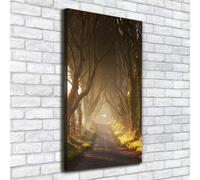 Tulup Dipinto Su Tela Pittura Su Un Muro 50x100cm - Il Sentiero Nel Bosco