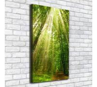 Tulup Dipinto Su Tela Pittura Su Un Muro 50x100cm - Il Sentiero Nel Bosco