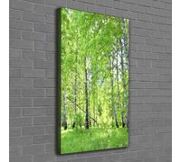Tulup Dipinto Su Tela Pittura Su Un Muro 60x120cm - Bosco Di Betulle