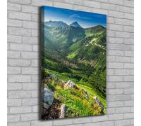 Tulup Dipinto Su Tela Pittura Su Un Muro 70x100cm - Estate In Montagna
