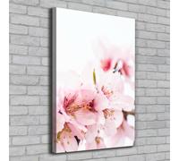 Tulup Dipinto Su Tela Pittura Su Un Muro 70x100cm - Fiori Di Mandorlo