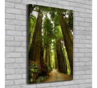 Tulup Dipinto Su Tela Pittura Su Un Muro 70x100cm - Il Sentiero Nel Bosco