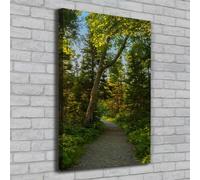 Tulup Dipinto Su Tela Pittura Su Un Muro 70x100cm - Il Sentiero Nel Bosco