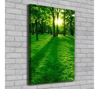 Tulup Dipinto Su Tela Pittura Su Un Muro 70x100cm - Il Sole Nel Parco