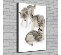 Tulup Dipinto Su Tela Pittura Su Un Muro 70x100cm - Lupi Grigi