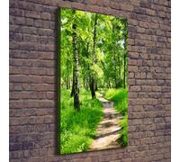 Tulup Dipinto Su Tela Pittura Su Un Muro 70x140cm - Bosco Di Betulle