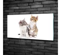 Tulup Pittura Su Vetro Tempereto Immagine 100x50cm - Due Piccoli Gatti