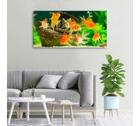 Tulup Pittura Su Vetro Tempereto Immagine 100x50cm - Pesce D'oro