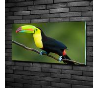 Tulup Pittura Su Vetro Tempereto Immagine 100x50cm - Tucano