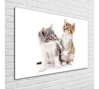 Tulup Pittura Su Vetro Tempereto Immagine 100x70cm - Due Piccoli Gatti