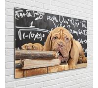 Tulup Pittura Su Vetro Tempereto Immagine 100x70cm - Il Cane Morde Il Libro
