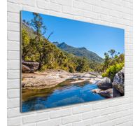 Tulup Pittura Su Vetro Tempereto Immagine 100x70cm - La Collina Dei Tatra