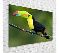 Tulup Pittura Su Vetro Tempereto Immagine 100x70cm - Tucano
