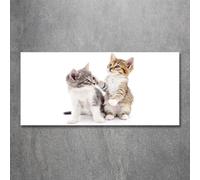 Tulup Pittura Su Vetro Tempereto Immagine 120x60cm - Due Piccoli Gatti