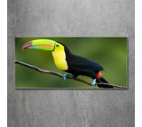 Tulup Pittura Su Vetro Tempereto Immagine 120x60cm - Tucano