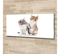 Tulup Pittura Su Vetro Tempereto Immagine 125x50cm - Due Piccoli Gatti