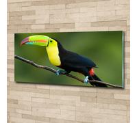 Tulup Pittura Su Vetro Tempereto Immagine 125x50cm - Tucano