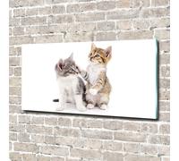 Tulup Pittura Su Vetro Tempereto Immagine 140x70cm - Due Piccoli Gatti