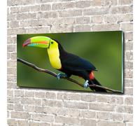 Tulup Pittura Su Vetro Tempereto Immagine 140x70cm - Tucano