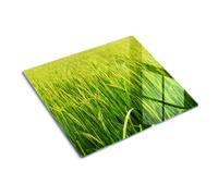 Tulup Tagliere Di Vetro Per La Cucina Copertina 60x52 - Risaia