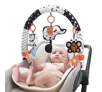 TUMAMA Arco Giochi per Passeggino, Giochi Neonati 0 3 6 8 9 12 Mesi Palestrina Neonato Regalo Femmina Maschio Sonaglio Passeggino Neonato Giocattolo Bambini 1 Anno