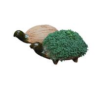 Tumia LAC Fai fiorire la tua tartaruga crescione (include semi di crescita). Commercio equo. Realizzato a mano dal Messico. Tartaruga.