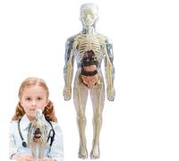 Tumotsit Giocattoli anatomici per bambini - Modello di anatomia del corpo - Corpo umano morbido, Oltre 4 anni, Giocattoli scientifici ed educativi, organo rimovibile Realistico, Osso