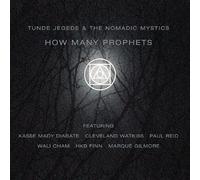 Tunde Jegede The Nomadic Mystics - How Many Prophets