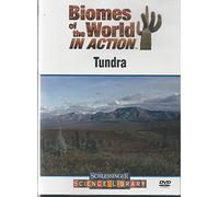 Tundra (Biomes of the World in Action)