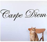 TUOQIANNAN Adesivo da Parete Nero Carpe Diem - per Camera da Letto, Studio o Altro Spazio Personale - Adesivo da Parete Rimovibile in Vinile 65X49Cm