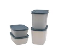 Tupperware Contenitore congelatore 450 ml (2) + 1,1 l (2) cristallo di ghiaccio blu fumo