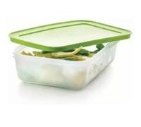 Tupperware Cristallo di ghiaccio da 1000 ml, contenitore per congelatore, contenitore per alimenti, contenitore con coperchio, 1,0 litri, verde