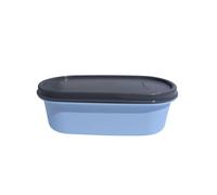 Tupperware Eidgenosse Eidgenossen Contenitori Compatti per la Conservazione Modulari per il Frigo Sistema 500ml 500 ml 0,5 Litri Blu Chiaro