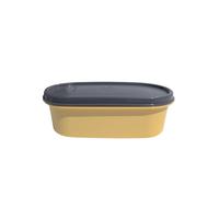 Tupperware Eidgenosse Eidgenossen Contenitori Compatti per la Conservazione Modulari per il Frigorifero Sistema 500ml 500 ml 0,5 Litri Giallo Grigio