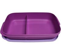 Tupperware to Go - Scatola porta pranzo intelligente da 590 ml, con separatore Eco+, contenitore per il pranzo scolastico con scomparto viola/viola, 590 ml