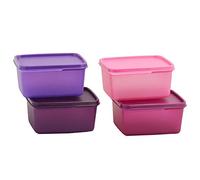 Tupperware Tupin Keep Tab Plastic Container Set (500 ml, Multicolour) -Set of 4