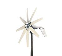 Turbina Eolica, 1000 W 12 V 24 V Generatore di Turbina Eolica Set Completo Mulino A Vento MPPT/Regolatore di Carica Piccolo Generatore Eolico Uso Domestico A Basso Rumore(Turbine Only,12v)