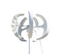 Turbina eolica Casa a basso rumore 5000W 12V 24V 48v generatore eolico verticale generatore di energia libera mulino a vento permanente Maglev con controller(White,Turbine Only,12V)