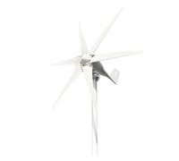 Turbina Eolica, Generatore a turbina eolica Potenza 2000w 12v 24v 48v 6 pale con off-grid Mppt e regolatore di carica ibrido for la casa(With Mppt Controller,12V)
