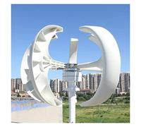 Turbina Eolica, Generatore di turbina eolica ad asse verticale 1000W 1KW 12V 24V 48V con regolatore MPPT Piccolo mulino a vento a basso rumore for lampioni(White with Control,12V)