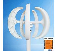 Turbina eolica Generatore di turbina eolica ad asse verticale 8000W for la casa 8KW 12V 24V 48V con regolatore MPPT Piccolo mulino a vento a basso rumore(White with Control,48V)