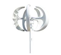 Turbina eolica Generatore di turbine eoliche ad asse verticale 4000W 5 pale Lanterna 12V 24V Kit motore elettromagnetico for uso domestico Lampione(White,24V)