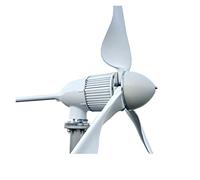 Turbina Eolica, Generatore di turbine eoliche da 2000 W Set completo Generatori di energia libera da 48 V 96 V Mulino a vento con inverter for controller MPPT(12V)