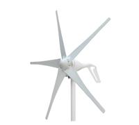 Turbina Eolica, Generatore eolico ad asse orizzontale 12v 24v 100w Generatore di energia eolica con 5 pale a bassa velocità del che avviano turbine eoliche(24V)
